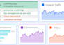 full SEO package for website ranking and traffic growth